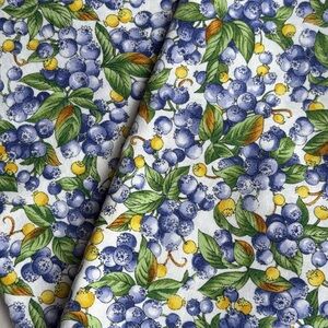 Blueberry Print Cloth Napkins – Set of 2 – 19”  Cotton – Farmhouse Kitchen Decor